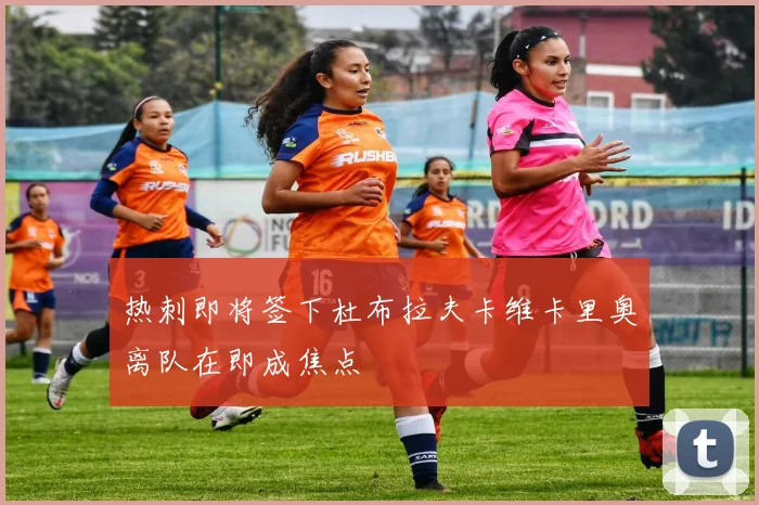 热刺即将签下杜布拉夫卡维卡里奥离队在即成焦点